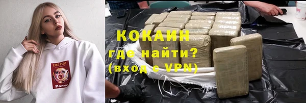 индика Медногорск