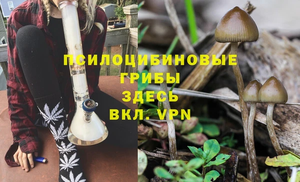 марки lsd Мегион