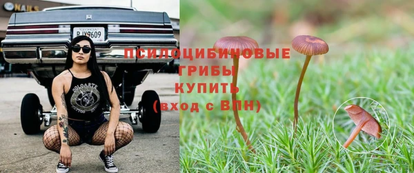 PSILOCYBIN Медвежьегорск
