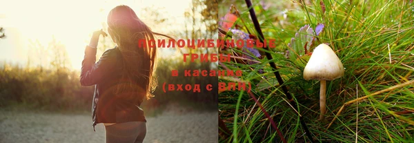 индика Медногорск