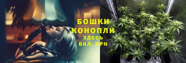 PSILOCYBIN Медвежьегорск