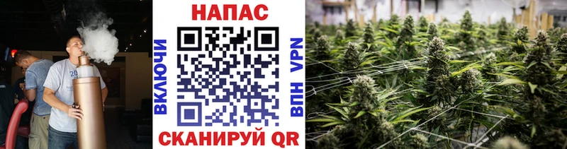 omg   Печоры  Бошки Шишки MAZAR 